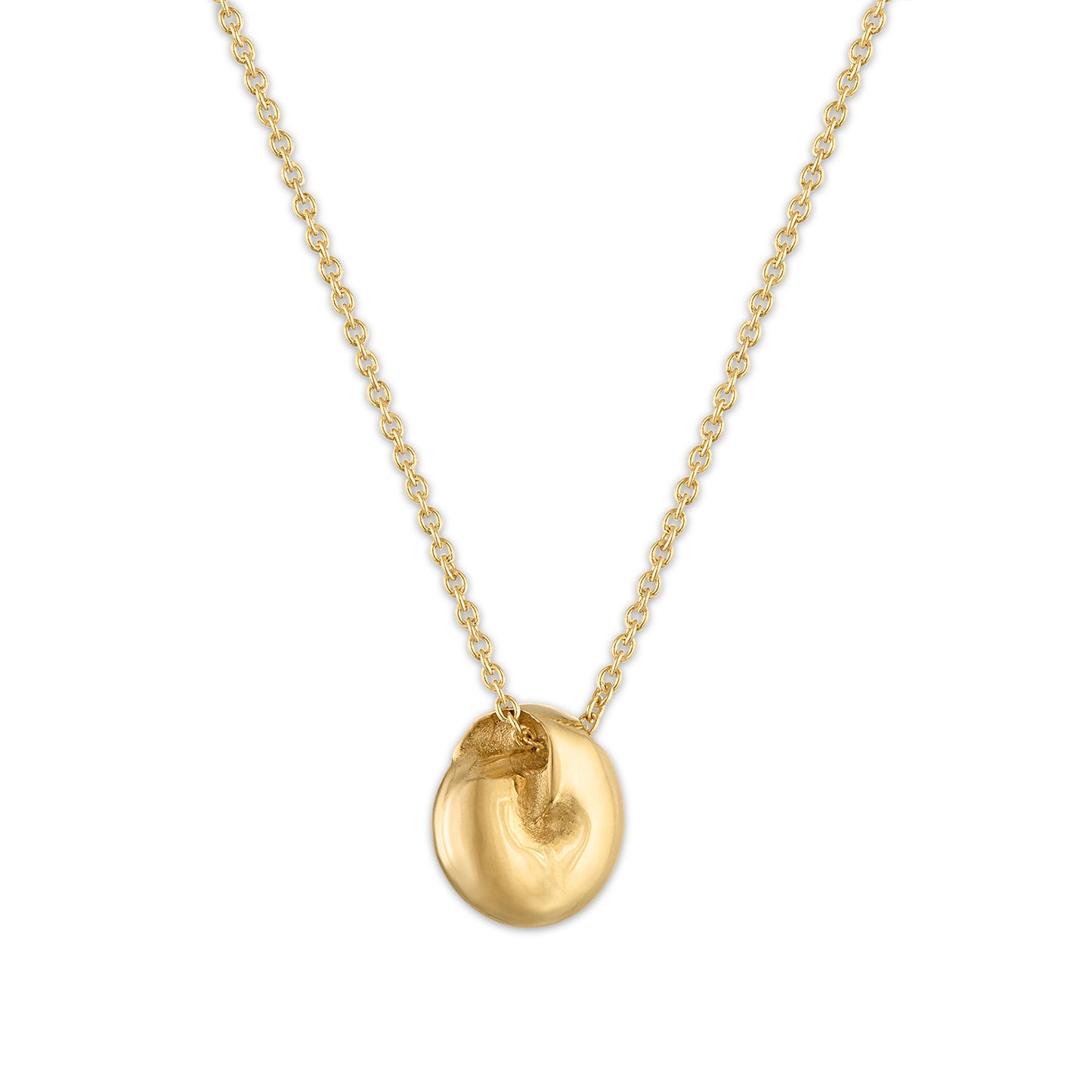 Gastropoda Necklace