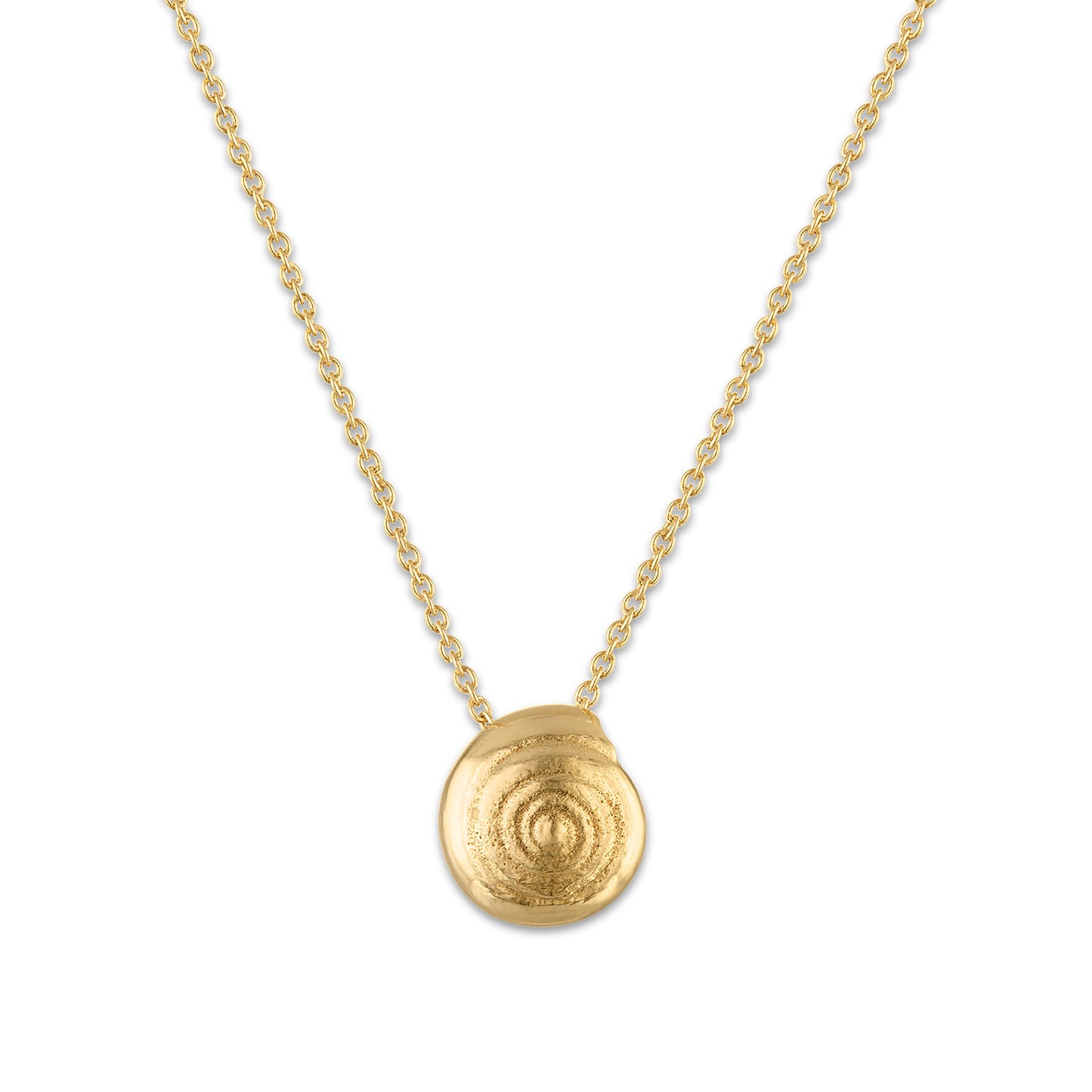 Gastropoda Necklace